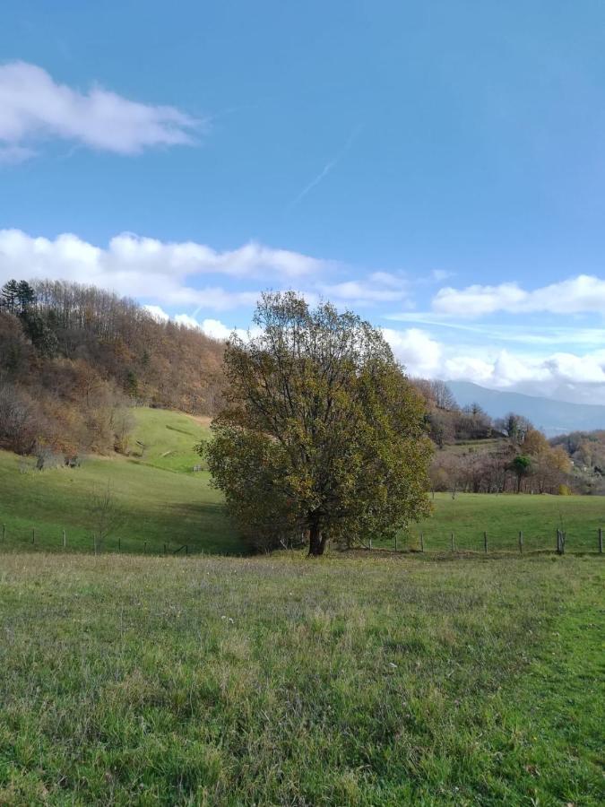 028 - Agriturismo "Il Boschetto" Con Piscina, Pace E Natura - Camera Familiare Cavizzano Ngoại thất bức ảnh