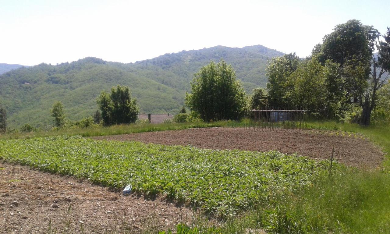 028 - Agriturismo "Il Boschetto" Con Piscina, Pace E Natura - Camera Familiare Cavizzano Ngoại thất bức ảnh
