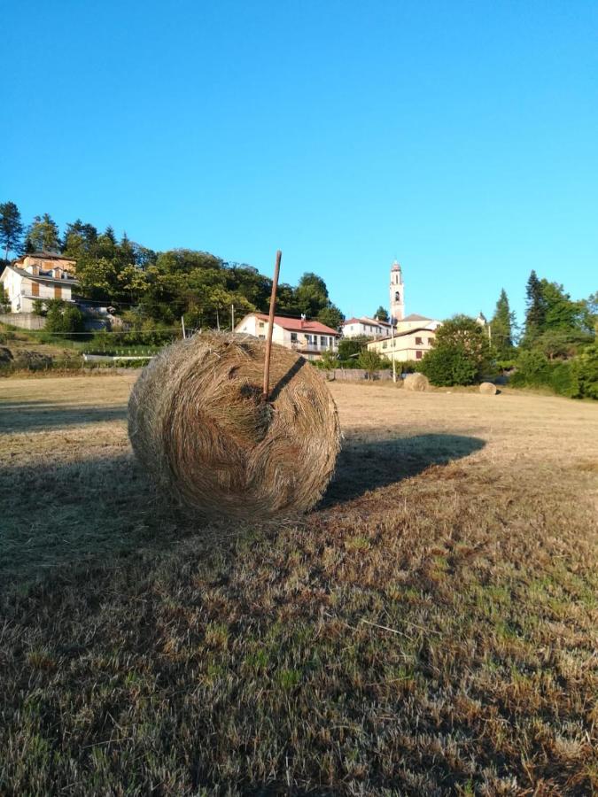 028 - Agriturismo "Il Boschetto" Con Piscina, Pace E Natura - Camera Familiare Cavizzano Ngoại thất bức ảnh