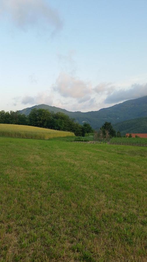 028 - Agriturismo "Il Boschetto" Con Piscina, Pace E Natura - Camera Familiare Cavizzano Ngoại thất bức ảnh